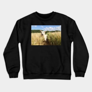 Happy Golden Retriever Crewneck Sweatshirt